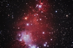 Cúmulo-abierto-del-Árbol-de-Navidad-NGC-2264_WEB