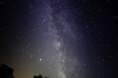 D7S7118_j3c_1